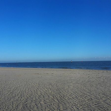 Private Logies Texel Woodart Midden-Eierland Bagian luar foto
