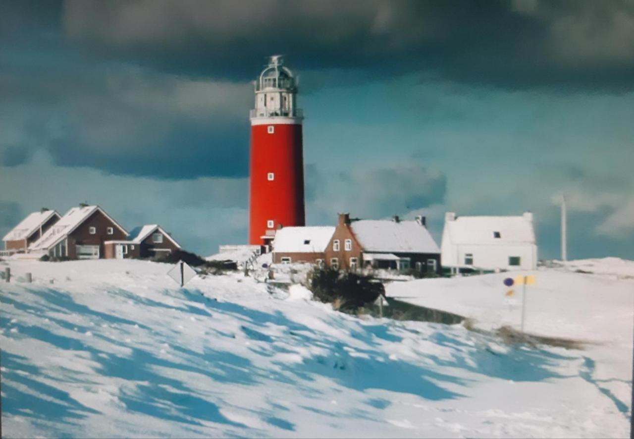 Private Logies Texel Woodart Midden-Eierland Bagian luar foto