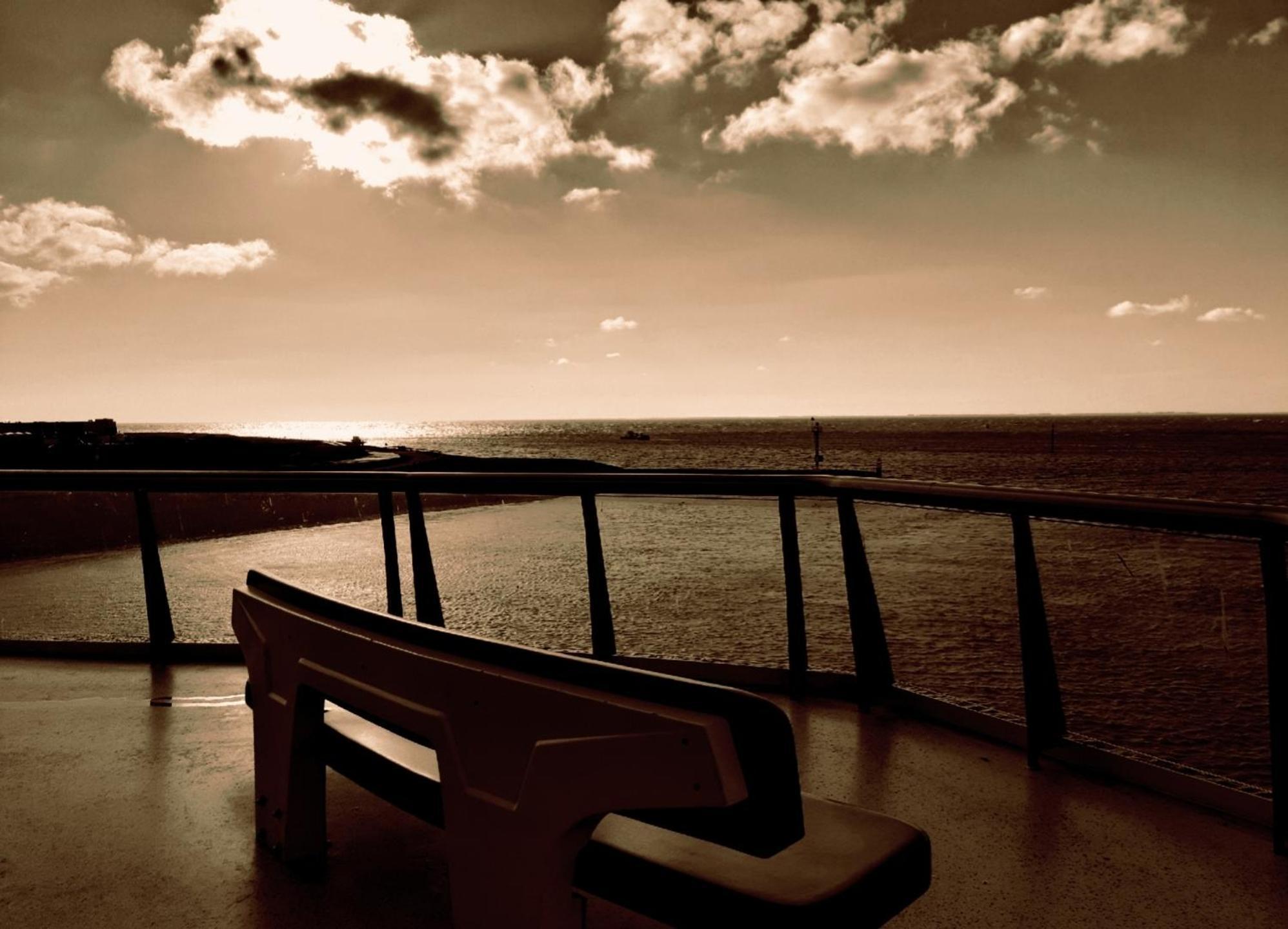 Private Logies Texel Woodart Midden-Eierland Bagian luar foto