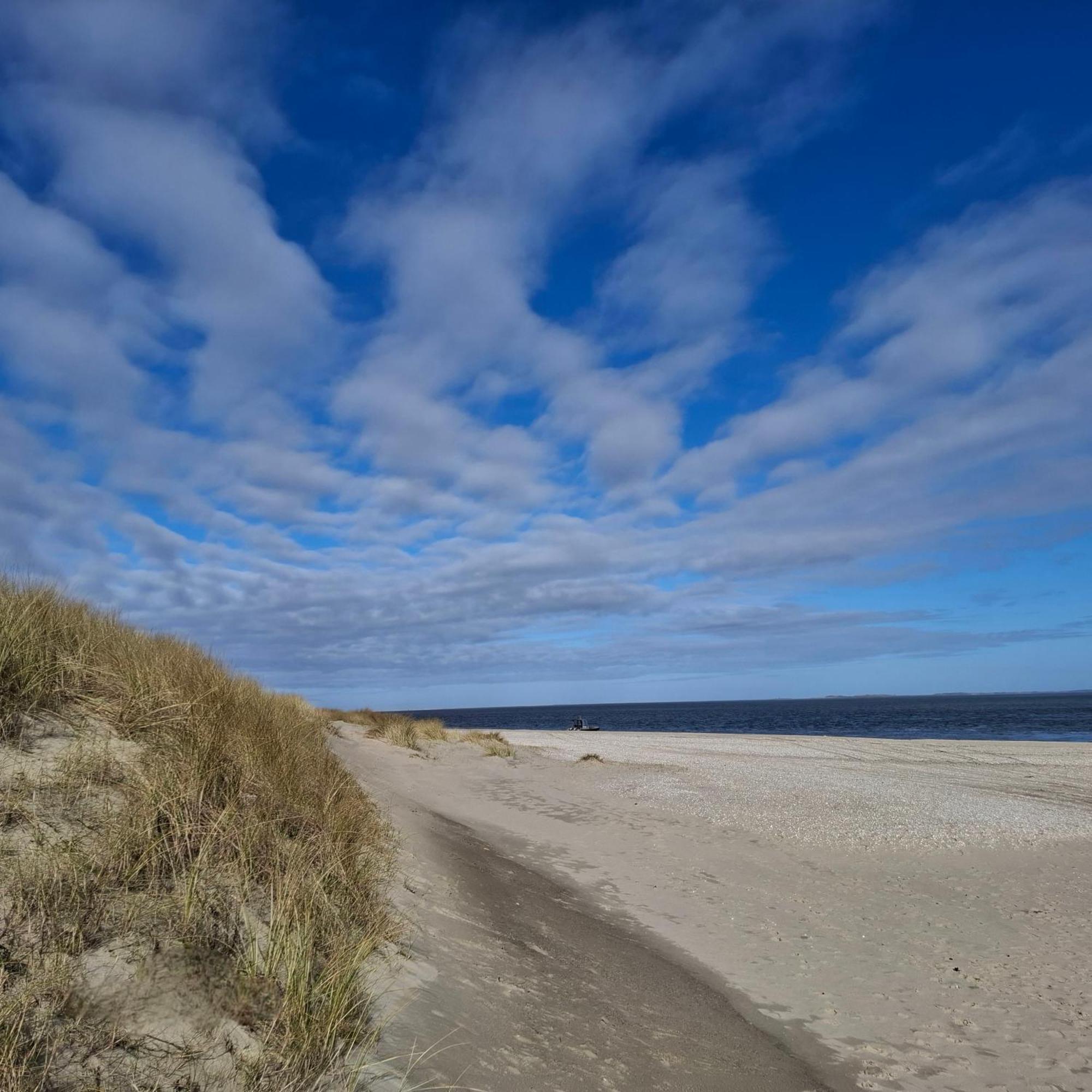 Private Logies Texel Woodart Midden-Eierland Bagian luar foto