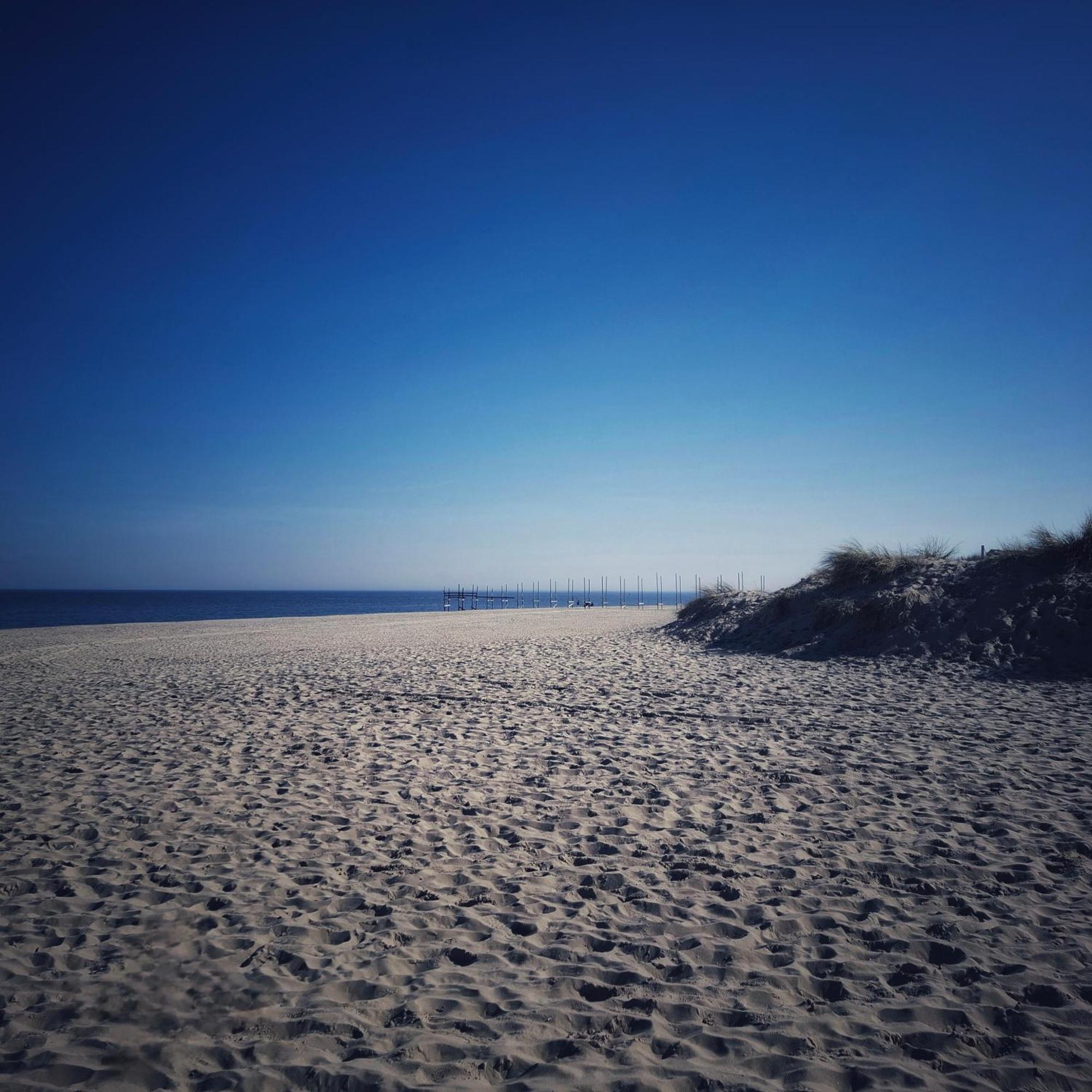 Private Logies Texel Woodart Midden-Eierland Bagian luar foto