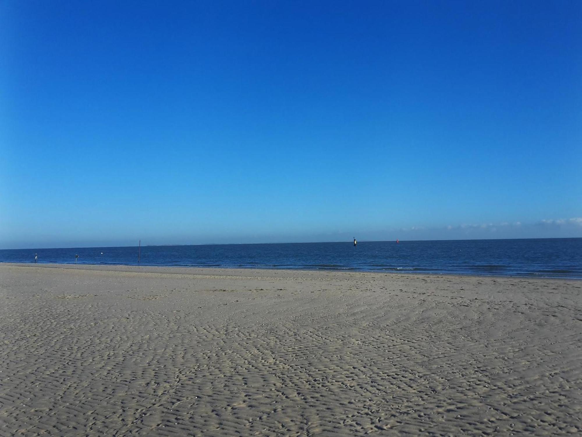 Private Logies Texel Woodart Midden-Eierland Bagian luar foto